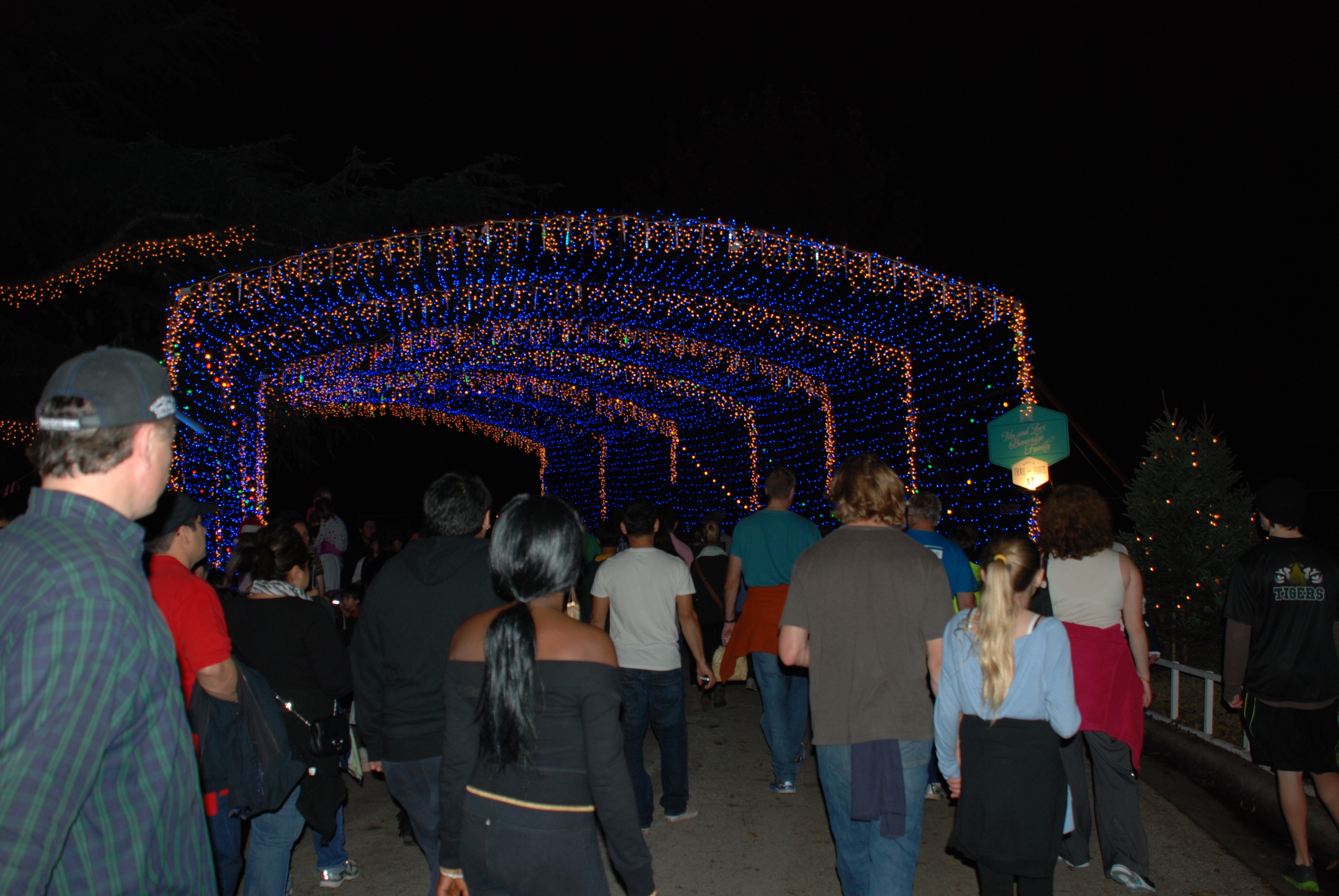2013-12-20 20-38-11 Trail of Lights.jpg